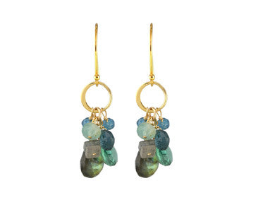 Alicia Van Fleteren Labradorite Earrings