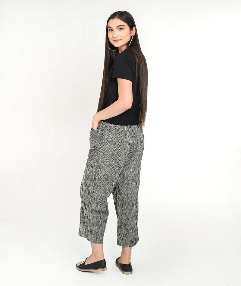 Niche Cargo Pants in Black Ridge Stripe